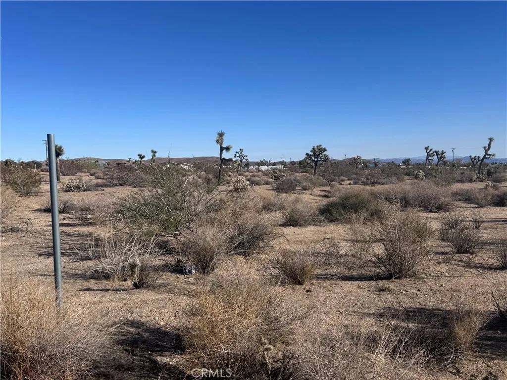 Yucca Valley, CA 92284,59426 Mesa