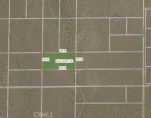 Phelan, CA 92371,0 cactus