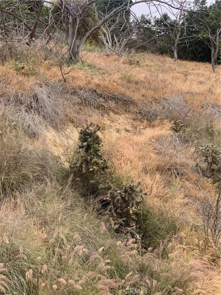 San Diego, CA 92114,0 Weaver