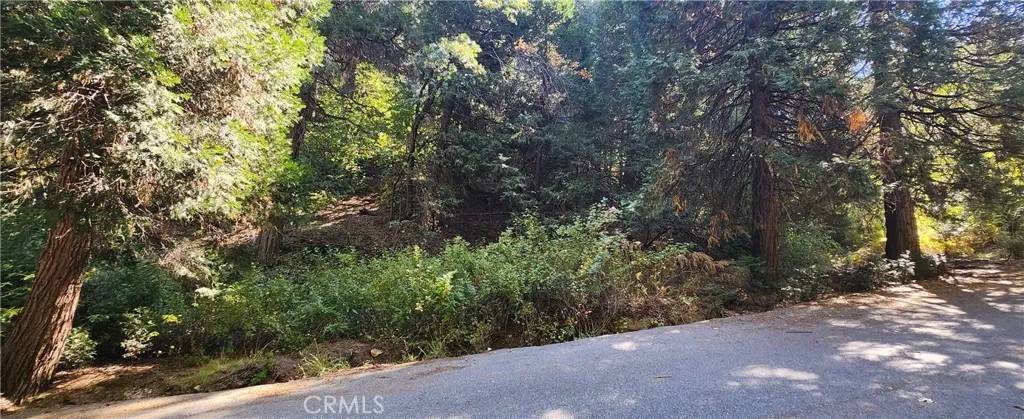 Lake Arrowhead, CA 92385,0 Maple