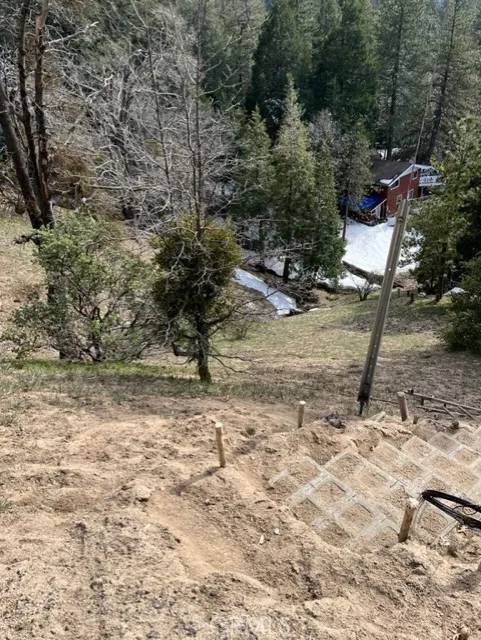 Crestline, CA 92391,818 Berne