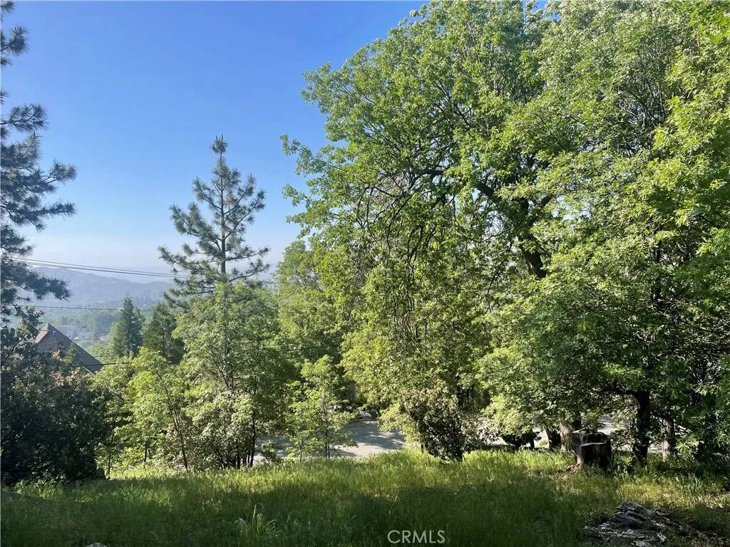 Lake Arrowhead, CA 92352,0 Banff
