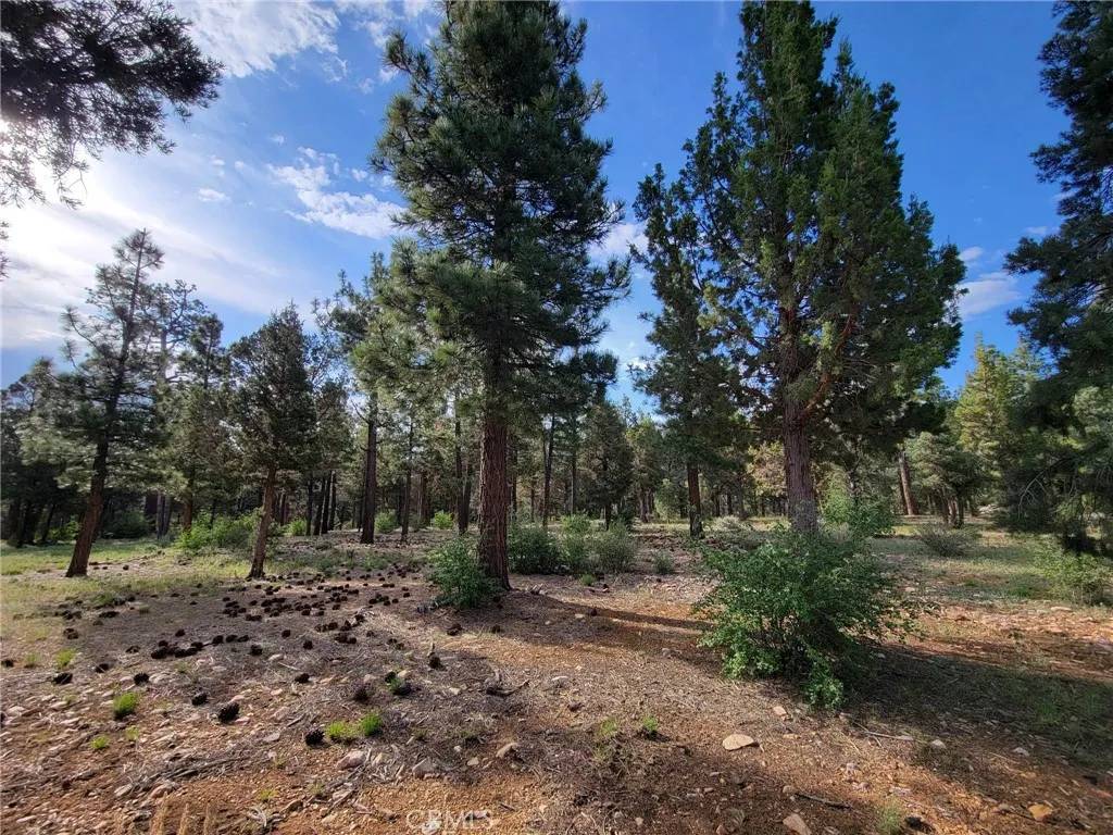 Big Bear City, CA 92314,0 Heritage