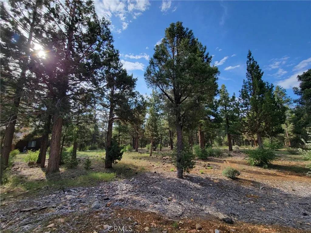 Big Bear City, CA 92314,0 Heritage