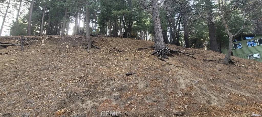 Running Springs, CA 92382,0 Spring Oak