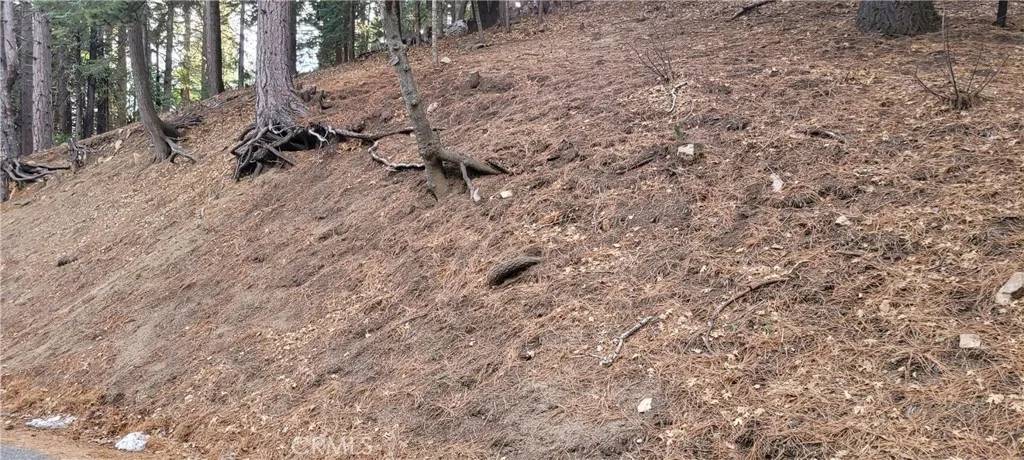 Running Springs, CA 92382,0 Spring Oak