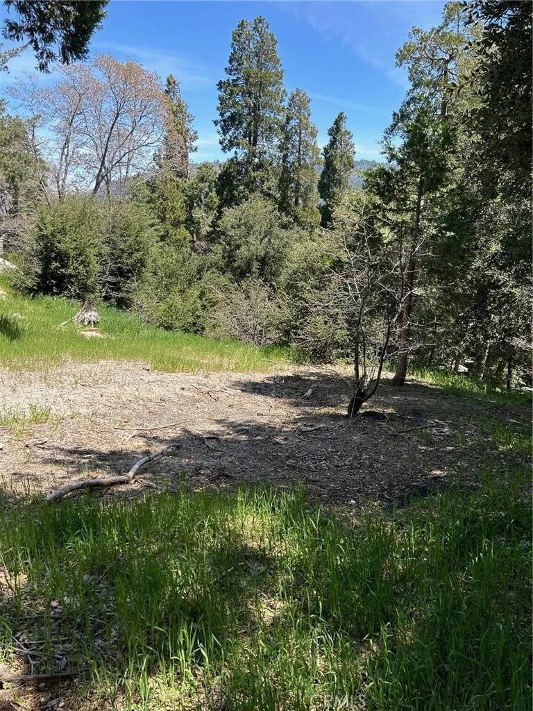 Crestline, CA 92325,1039 Jungfrau