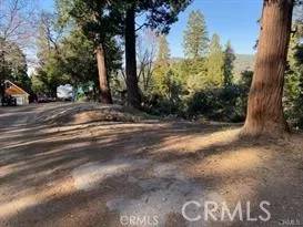 Crestline, CA 92325,1039 Jungfrau