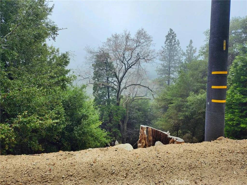 Crestline, CA 92325,0 Basel