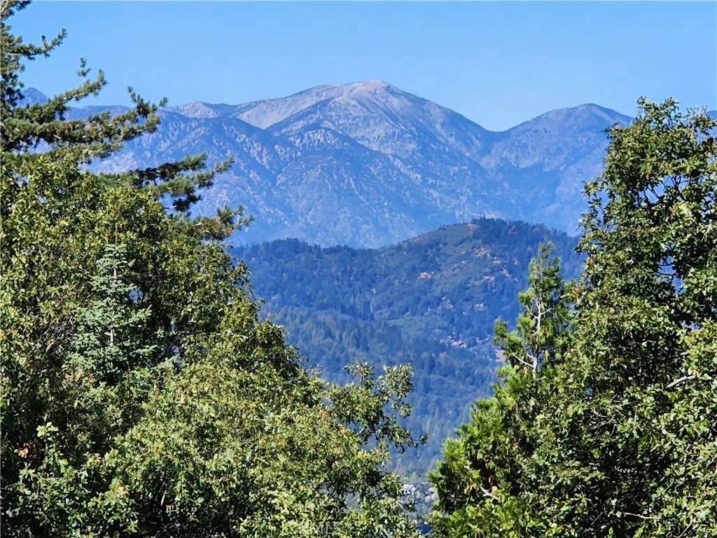 Twin Peaks, CA 92391,0 North