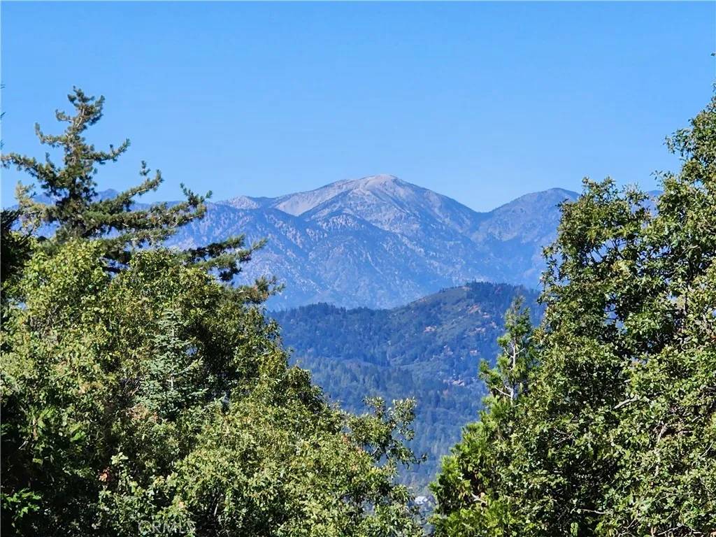 Twin Peaks, CA 92391,0 North