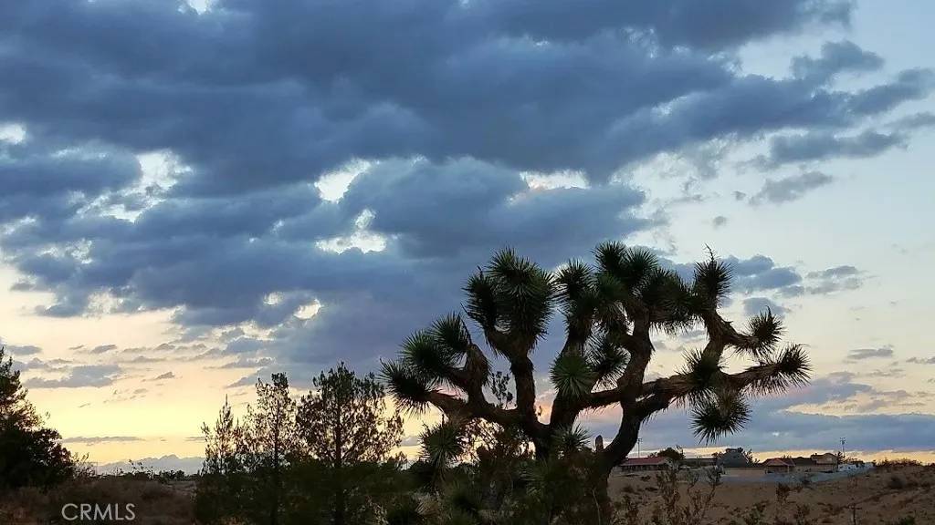 Hesperia, CA 92344,0 Talisman