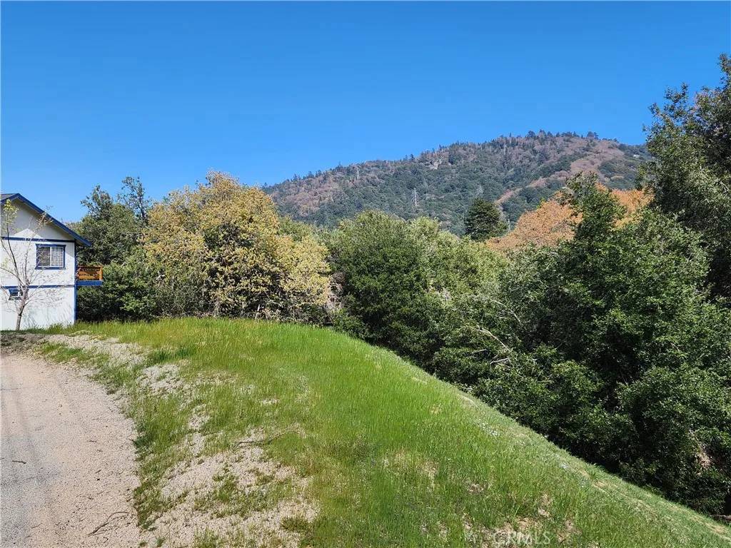 Crestline, CA 92325,327 Davos