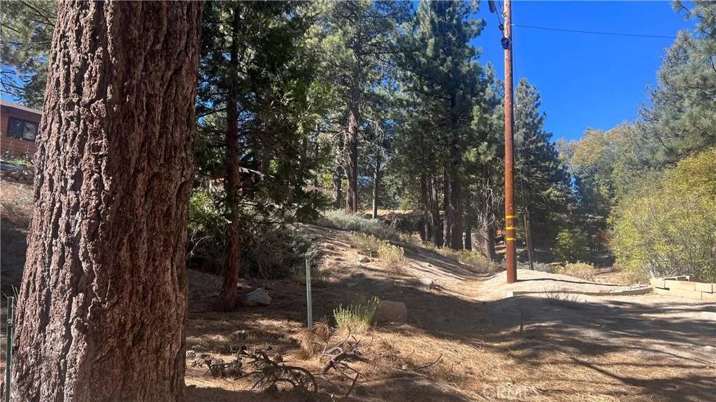 Green Valley Lake, CA 92341,33275 Iris Dr