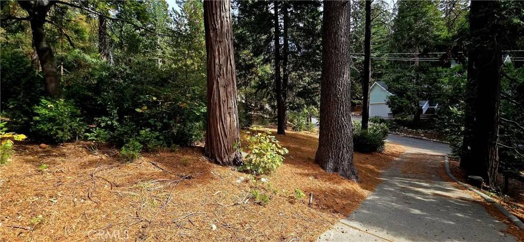 Lake Arrowhead, CA 92352,308 Pioneer