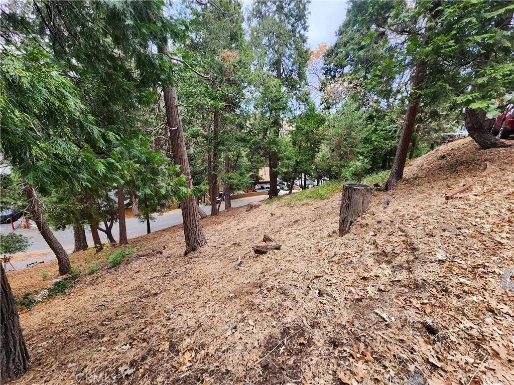 Crestline, CA 92325,0 Horst
