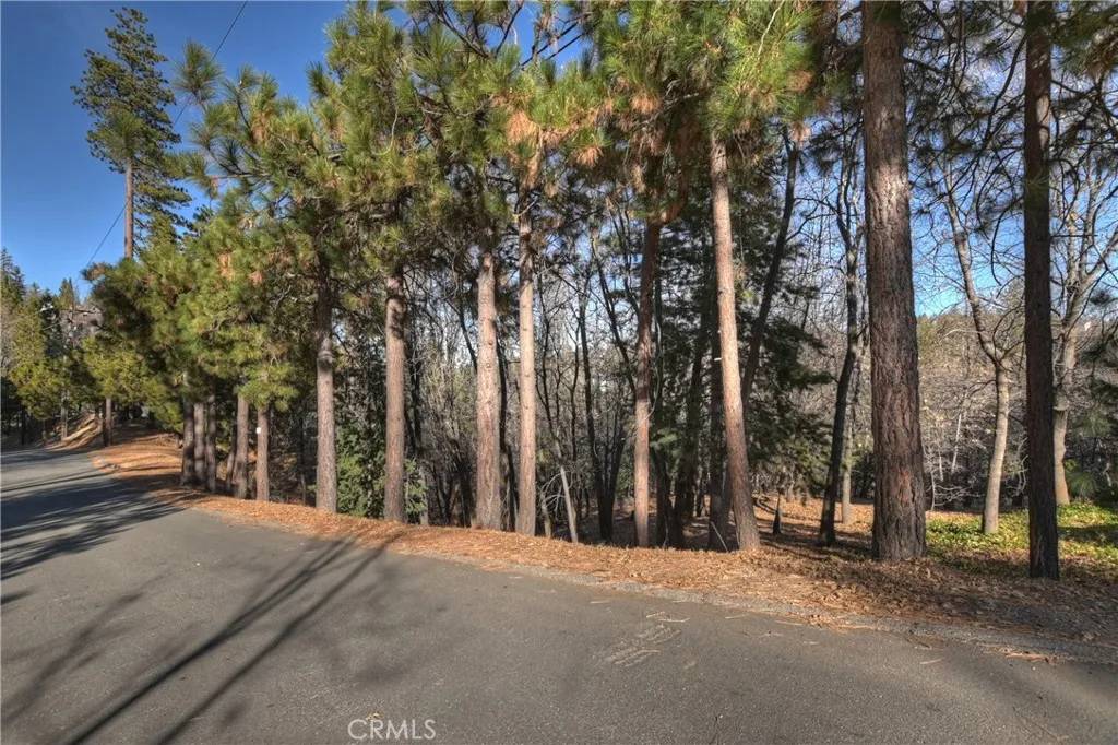 Lake Arrowhead, CA 92352,0 Lucerne