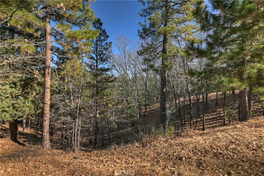Lake Arrowhead, CA 92352,0 Lucerne
