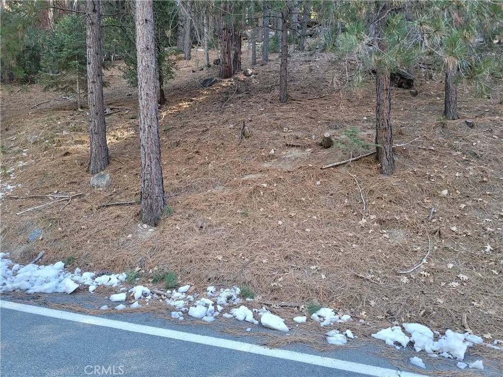 Lake Arrowhead, CA 92352,0 Brentwood