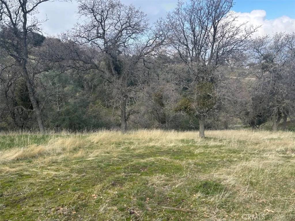 Keene, CA 93531,0 Hart Oaks Dr
