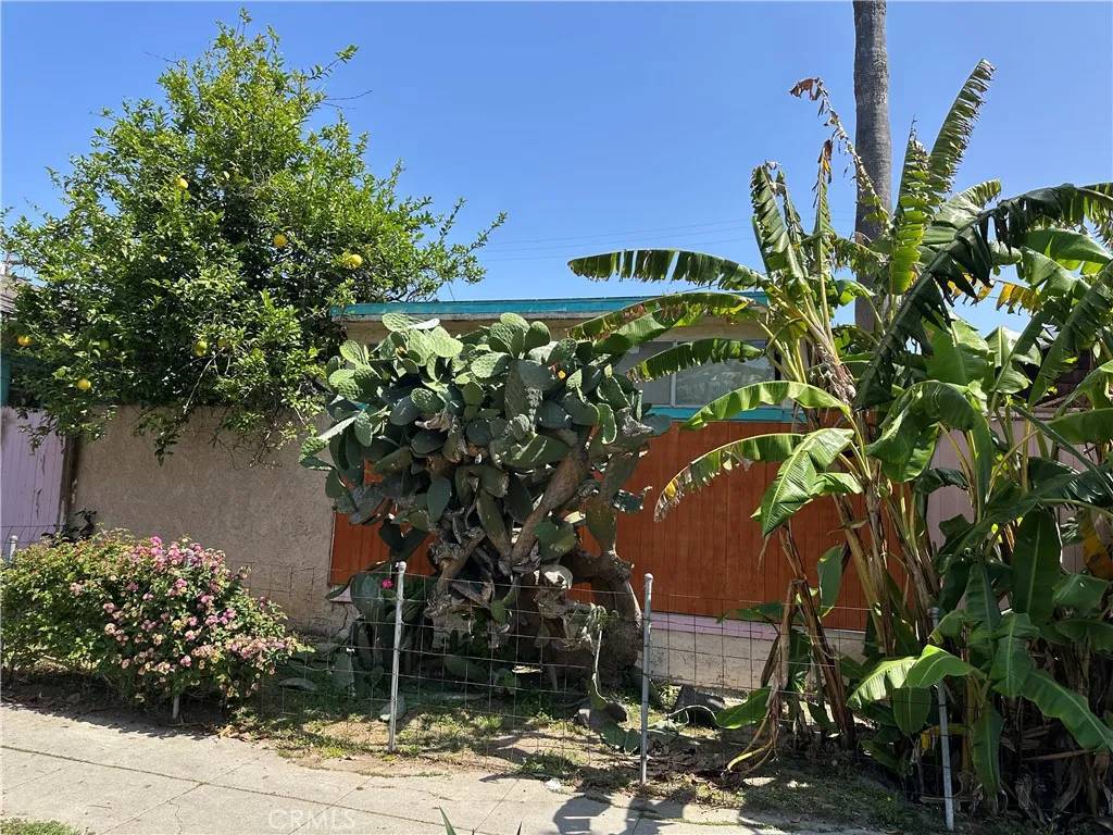 Venice, CA 90291,1139 Cabrillo Avenue