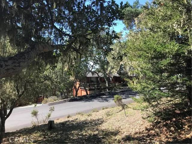 Cambria, CA 93428,0 Saint James
