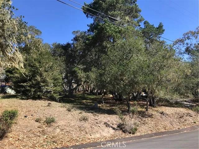 Cambria, CA 93428,0 Saint James