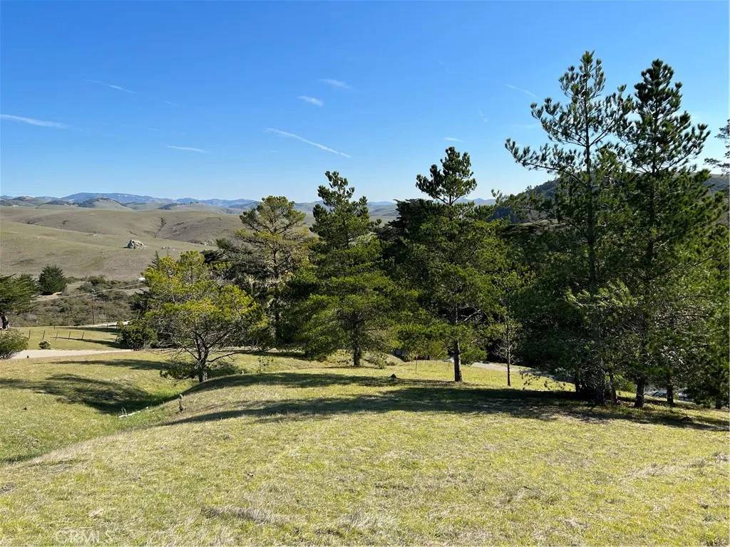 Cambria, CA 93428,0 Linden