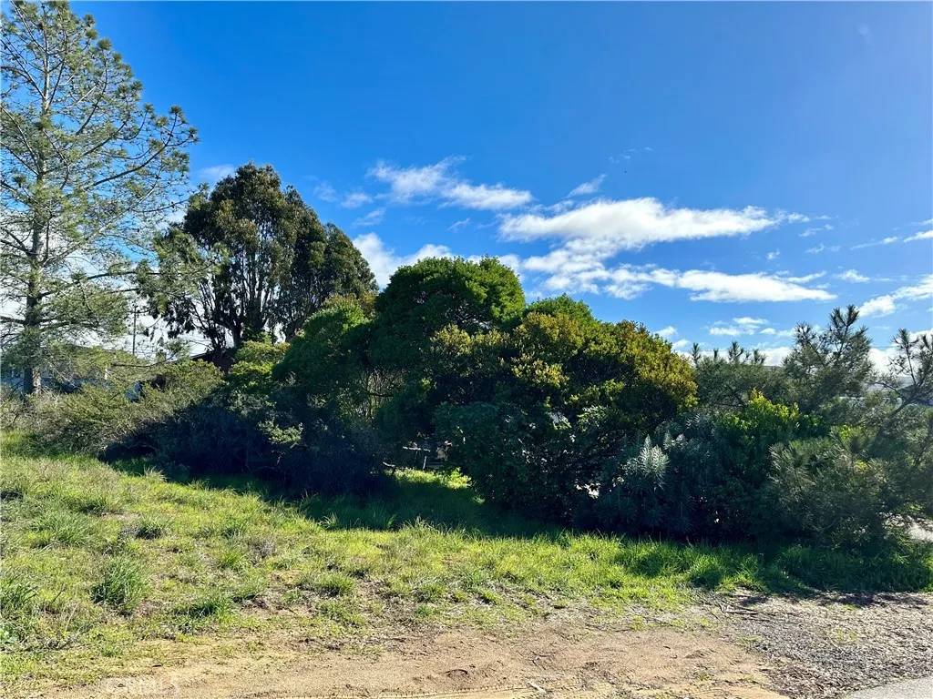 Los Osos, CA 93402,1266 10th