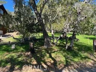Cambria, CA 93428,0 Astor