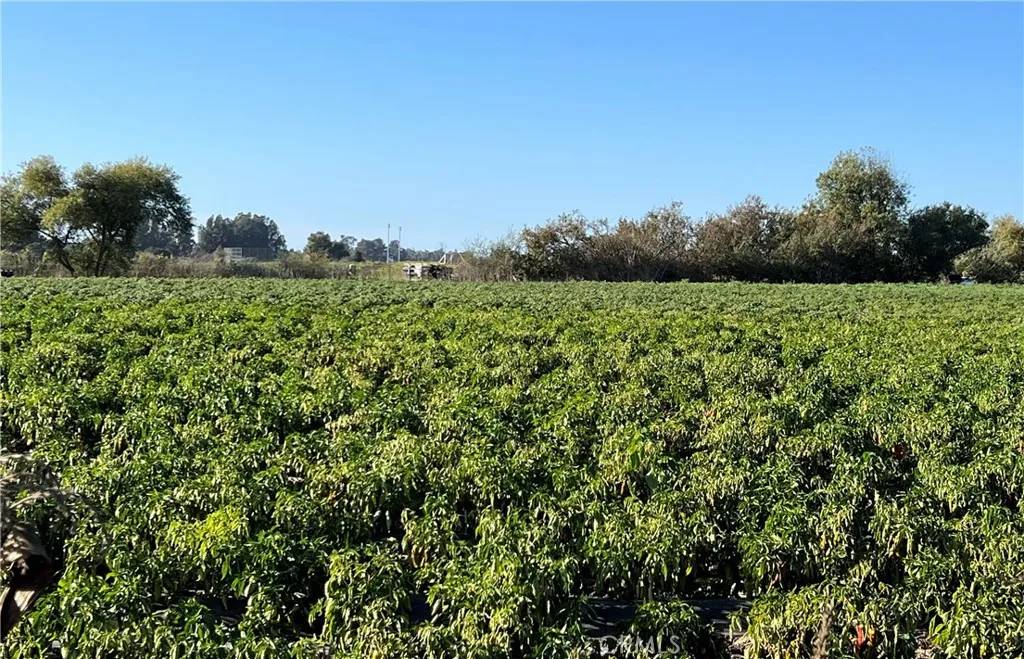 Nipomo, CA 93444,400 N Oakglen
