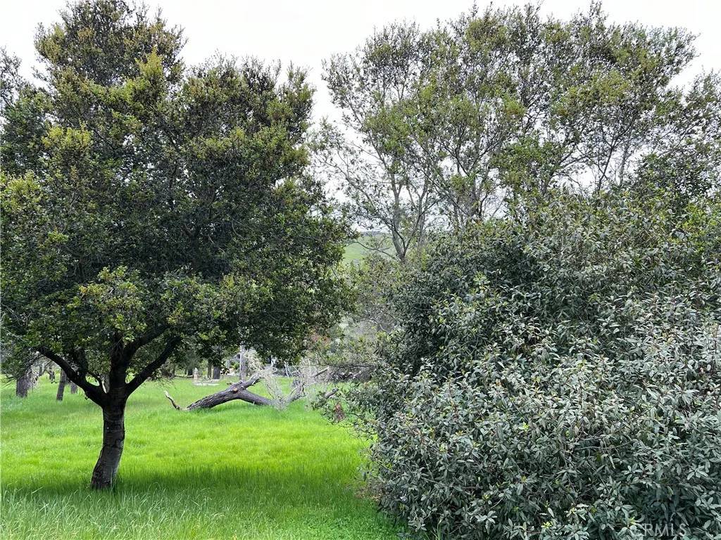 Cambria, CA 93428,1830 Londonderry