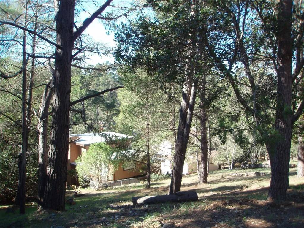 Cambria, CA 93428,0 Pierce
