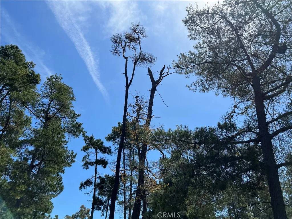 Cambria, CA 93428,0 Kenneth