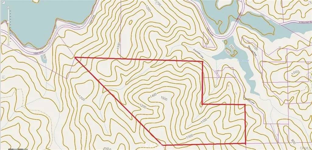 Arroyo Grande, CA 93420,0 Chanterelle