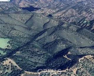 Arroyo Grande, CA 93420,0 Chanterelle