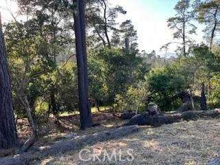 Cambria, CA 93428,0 Bradford
