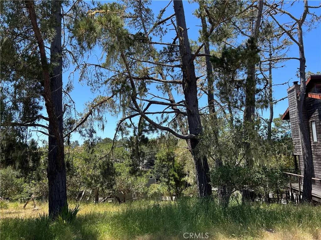 Cambria, CA 93428,0 Alban
