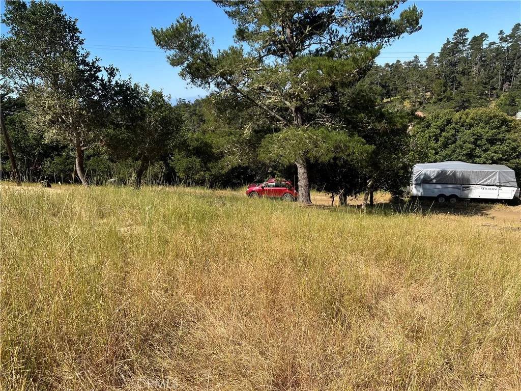 Cambria, CA 93428,0 Pierce