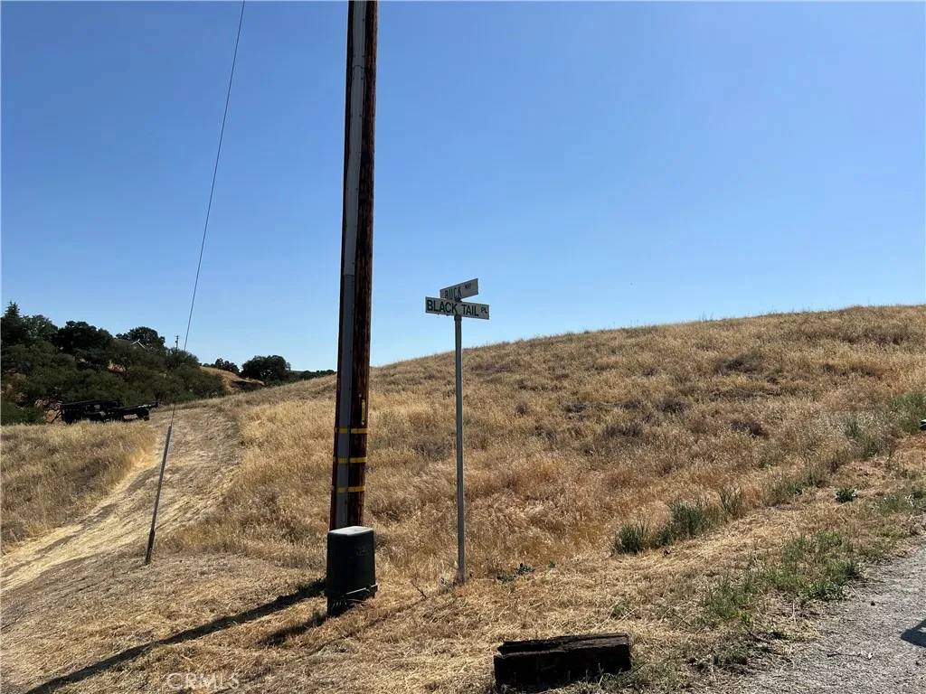 Paso Robles, CA 93446,0 Pepper Tree