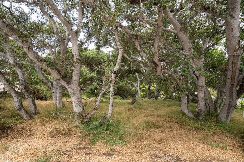 Los Osos, CA 93402,1627 6th