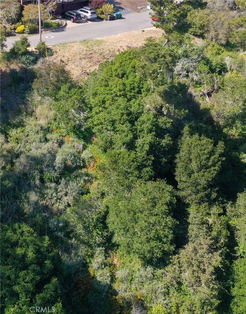 Cambria, CA 93428,0 Croyden