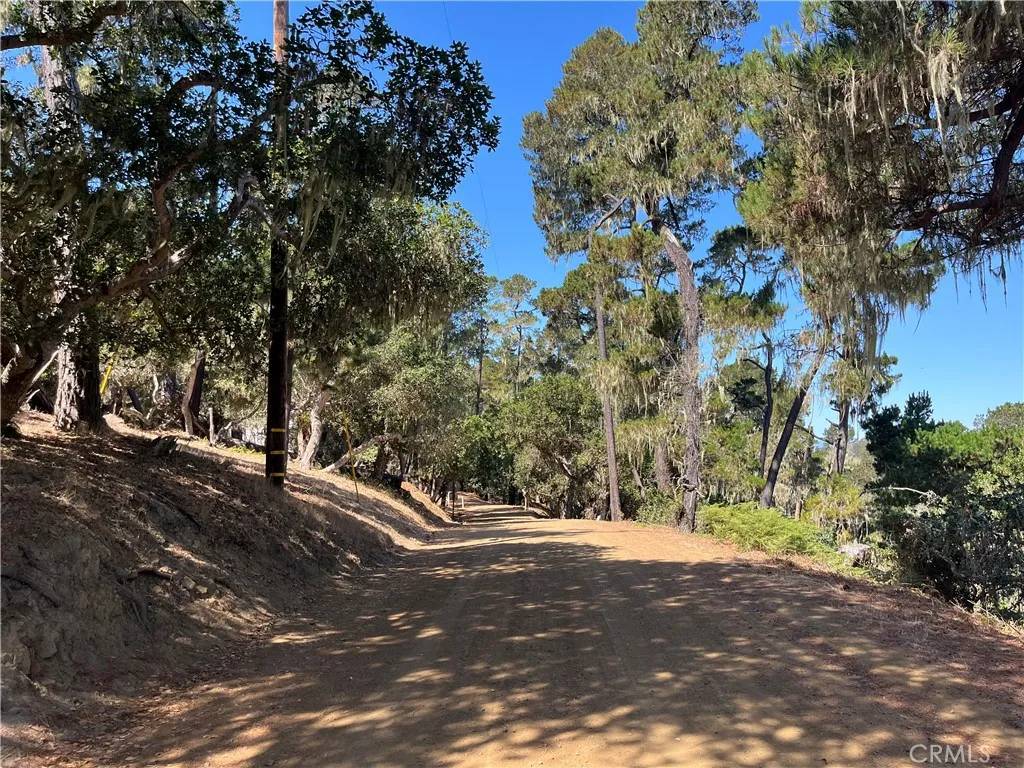 Cambria, CA 93428,1840 Fern