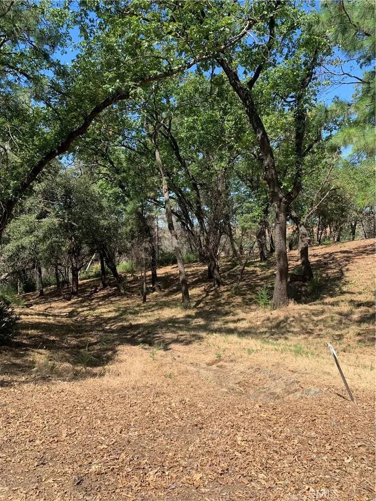 Paradise, CA 95969,4896 Malibu
