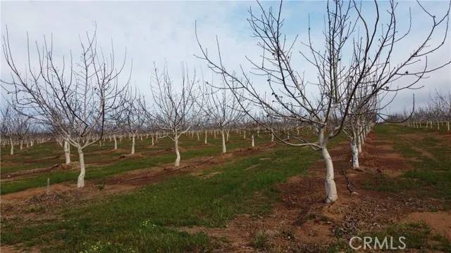 Red Bluff, CA 96080,7795 Rawson Road