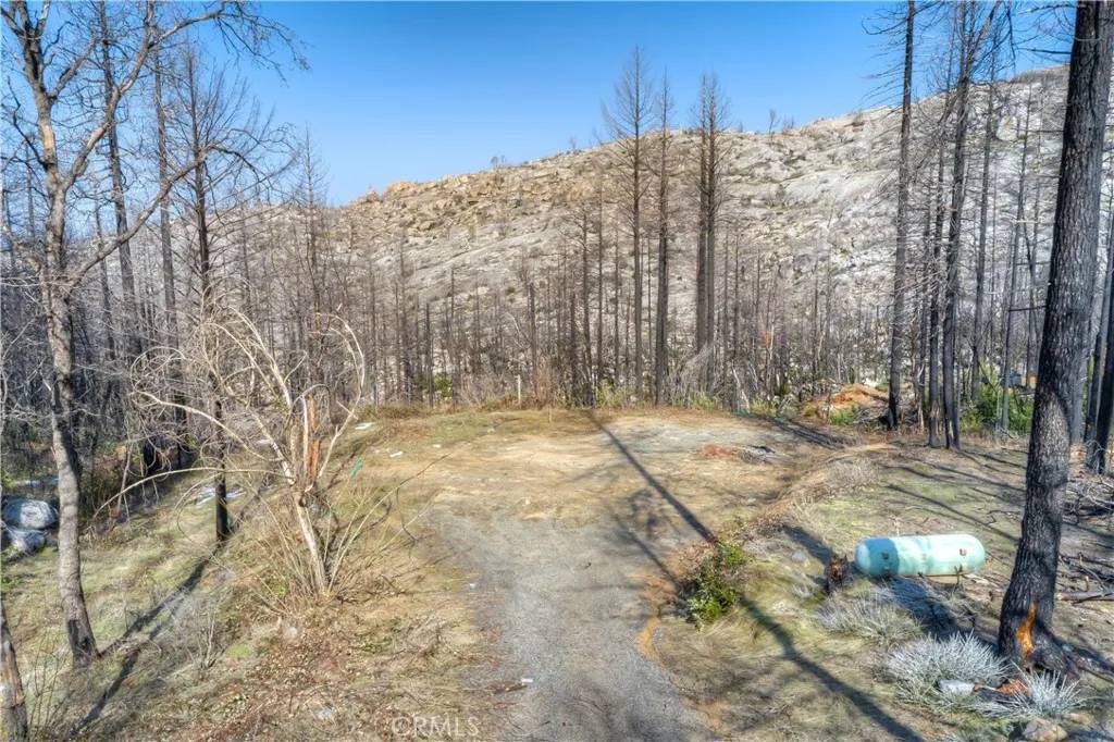 Berry Creek, CA 95916,15 Woodsmoke