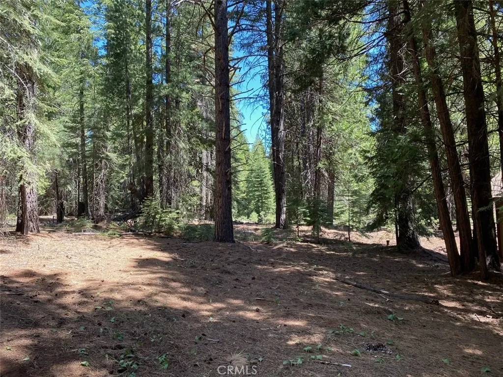 Lake Almanor, CA 96137,173 Peninsula