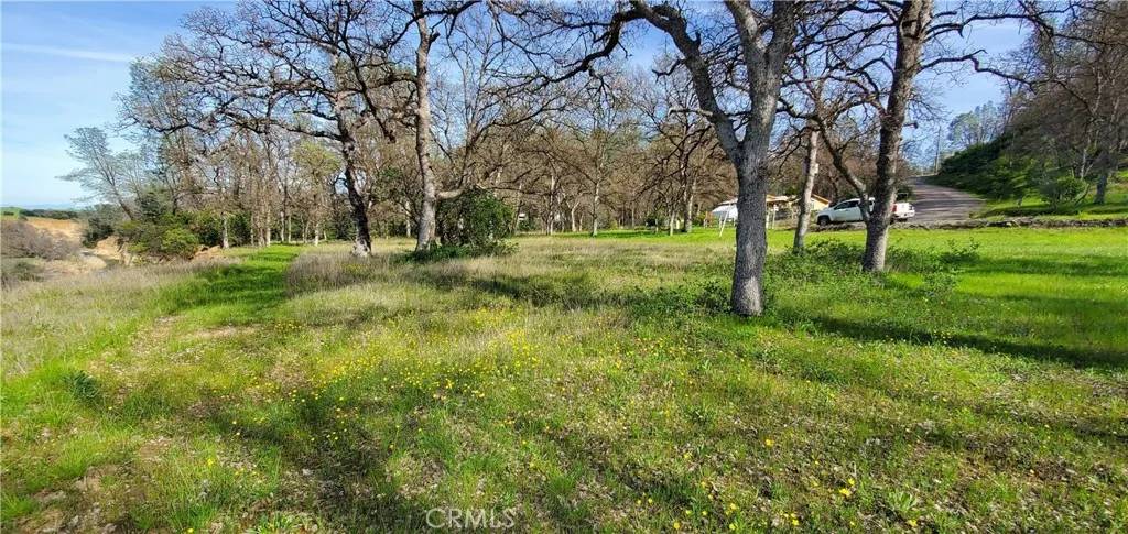 Corning, CA 96021,16220 Rancho Tehama