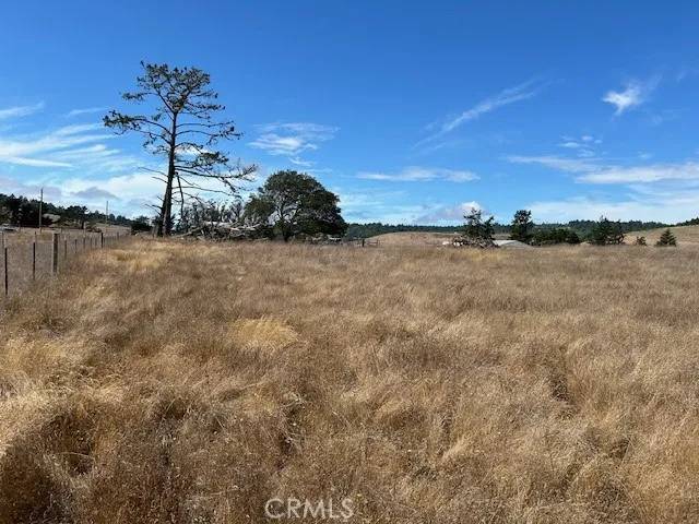 Bodega, CA 94922,330 Valley Ford Freestone