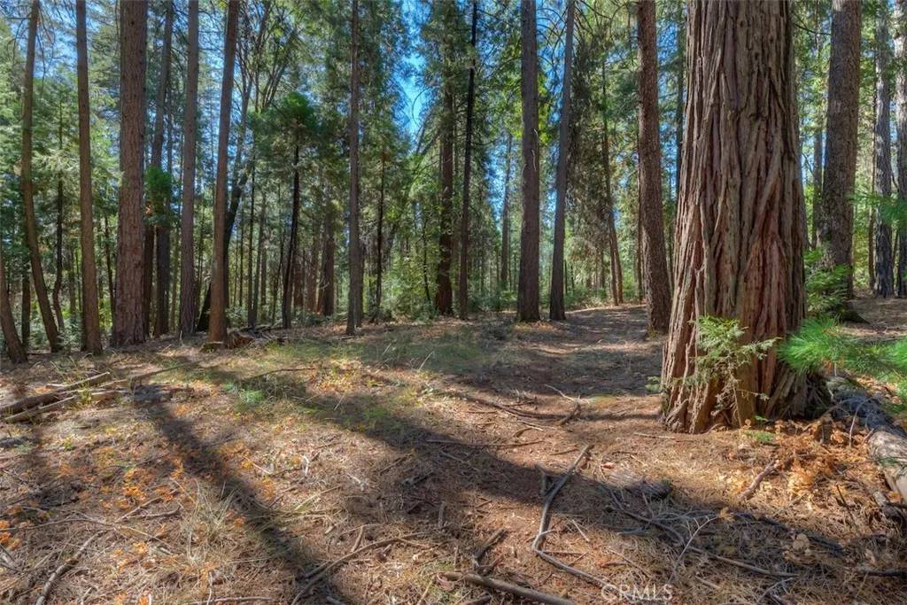 Magalia, CA 95954,0 Fern Glenn Way